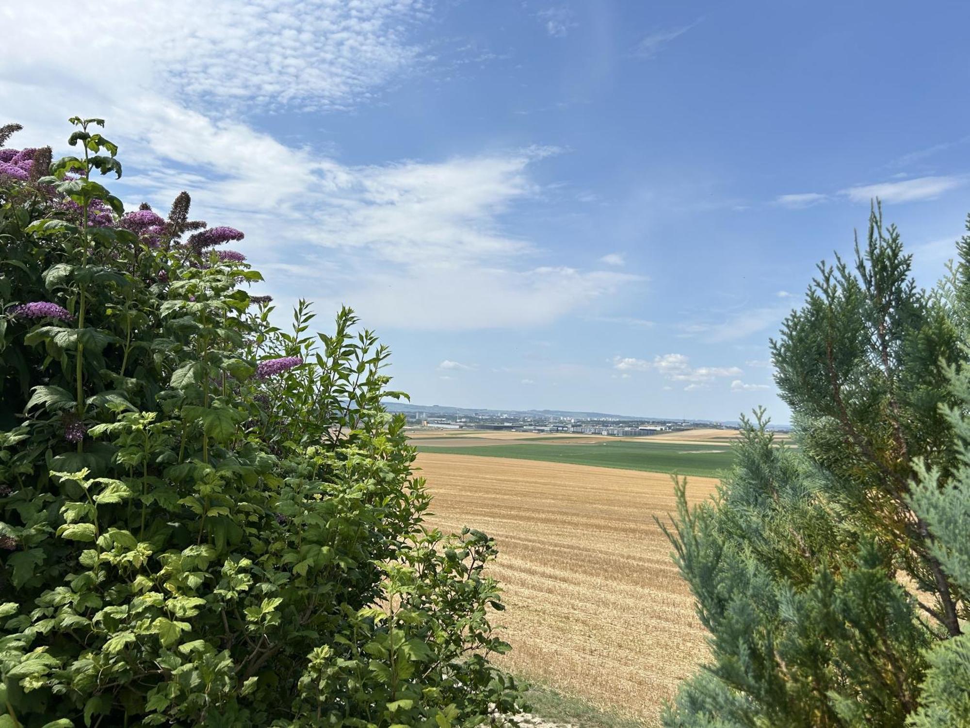 Happy Villa Cernay-les-Reims Bagian luar foto